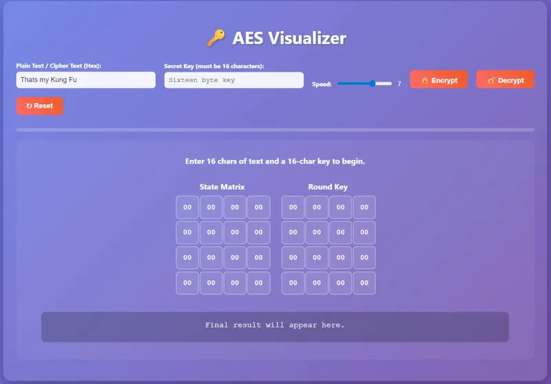Screenshot of the AES visualizer in action