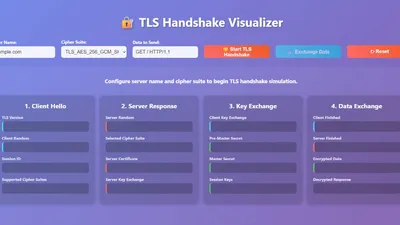 A visual representation of the TLS Protocol